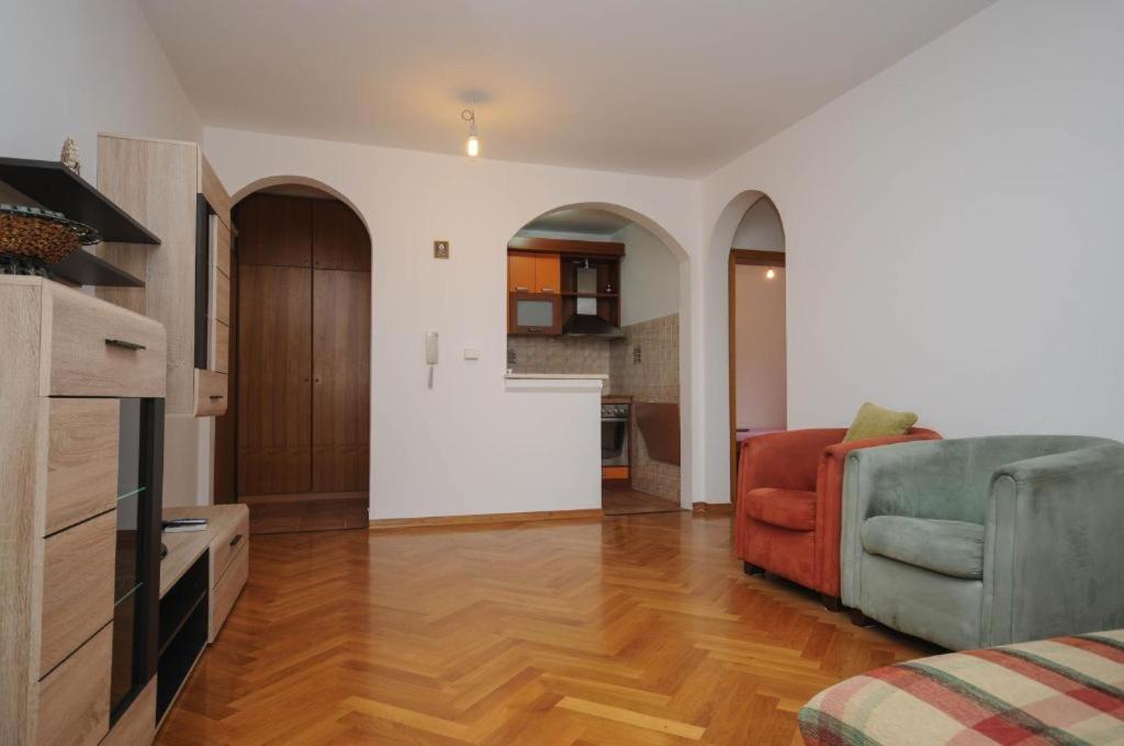 Apartment Jana Petrovac Extérieur photo